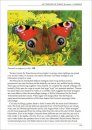 Butterflies of Surrey Revisited