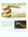 The Wildlife Artist's Handbook