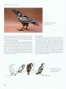 The Wildlife Artist's Handbook
