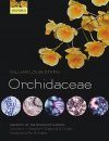 Anatomy of the Monocotyledons, Volume 10: Orchidaceae