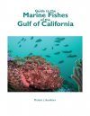 Guide to the Marine Fishes of the Gulf of California