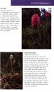Wild Flowers of the Yukon, Alaska & Northwestern Canada