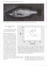 The Cichlid Diversity of Lake Malawi/Nyasa/Niassa