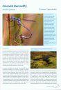 Atlas of Dragonflies in Britain and Ireland