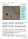 Atlas of Dragonflies in Britain and Ireland