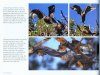 Flying-Foxes