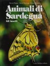 Animali di Sardegna: Gli Insetti