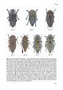 The Jewel Beetles of Romania (Coleoptera: Buprestidae)