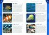 101 Animals of the Great Barrier Reef