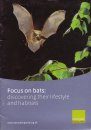 Focus on Bats