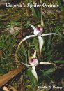 Victoria's Spider Orchids