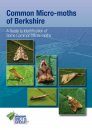 Common Micro-Moths of Berkshire