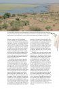 Les Ailes du Sahel: Zones Humides et Oiseaux Migrateurs dans un Environnement en Mutation [Living on the Edge: Wetlands and Birds in a Changing Sahel]