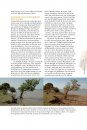 Les Ailes du Sahel: Zones Humides et Oiseaux Migrateurs dans un Environnement en Mutation [Living on the Edge: Wetlands and Birds in a Changing Sahel]