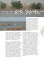 Les Ailes du Sahel: Zones Humides et Oiseaux Migrateurs dans un Environnement en Mutation [Living on the Edge: Wetlands and Birds in a Changing Sahel]