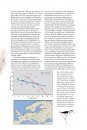 Les Ailes du Sahel: Zones Humides et Oiseaux Migrateurs dans un Environnement en Mutation [Living on the Edge: Wetlands and Birds in a Changing Sahel]