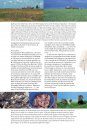 Les Ailes du Sahel: Zones Humides et Oiseaux Migrateurs dans un Environnement en Mutation [Living on the Edge: Wetlands and Birds in a Changing Sahel]