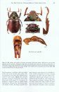The Neotropical Scarab Beetle Tribe Anatistini (Coleoptera: Scarabaeidae: Rutelinae)