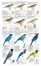 Fieldbook of the Birds of Ecuador