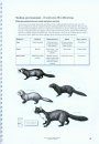 How to Find and Identify Mammals [Revised Edition]