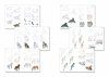 How to Draw Animals
