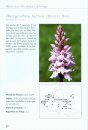 Atlas des Orchidées d'Ariège [Atlas of the Orchids of Ariège]