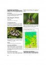 Die Schmetterlingsfauna von Ostwestfalen-Lippe und Angrenzender Gebiete in Nordhessen und Südniedersachsen, Band 2