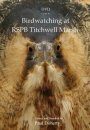 DVD Guide to Birdwatching at RSPB Titchwell Marsh (All Regions)