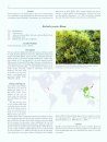Invasive Plant Species of the World