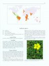 Invasive Plant Species of the World