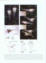 Atlas of Crustacean Larvae