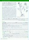 Flore d'Île-de-France, Volume 2: Clés de Détermination, Taxonomie, Statuts [Flora of Île-de-France, Volume 2: Determination Keys, Taxonomy and Statuses]