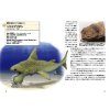 Nihon No Zetsumetsu Koseibutsu Zukan [Paleontology Picture Book of Japan]
