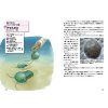 Nihon No Zetsumetsu Koseibutsu Zukan [Paleontology Picture Book of Japan]