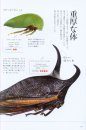 Tsunozemi: Arienai Mushi [Treehoppers: Incredible Insects]