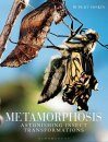 Metamorphosis: Astonishing Insect Transformations