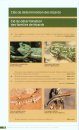Lézards, Crocodiles et Tortues d’Afrique Occidentale et du Sahara [Lizards, Crocodiles and Turtles of West Africa and the Sahara]