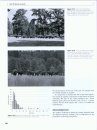 Ecology, Evolution and Behaviour of Wild Cattle