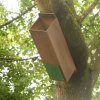 Tawny Owl Nest Box