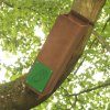 Tawny Owl Nest Box