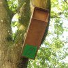 Tawny Owl Nest Box