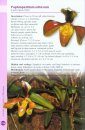 A Guide to Orchids of Myanmar