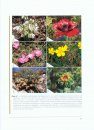 Red List of the Endemic Plants of the Caucasus