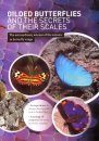 Gilded Butterflies and the Secrets of their Scales (All Regions)