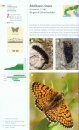 Schmetterlinge der Alpen: Der Bestimmungsführer für alle Arten [Butterflies of the Alps: Identification Guide to All Species]