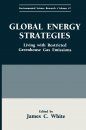 Global Energy Strategies