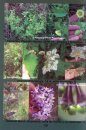 Guide to the Flora and Fauna of Punta del Este and Alrededores / Libro Flora y Fauna de Punta del Este y Alrededores
