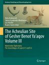 The Acheulian Site of Gesher Benot Ya'aqov, Volume III