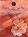 Atlas of Eocene Planktonic Foraminiferas