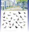 Stadsvogels in hun Domein [Urban Birds in their Habitat]